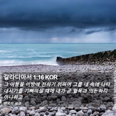 갈라디아서 1:16 KOR Bible Verse Image