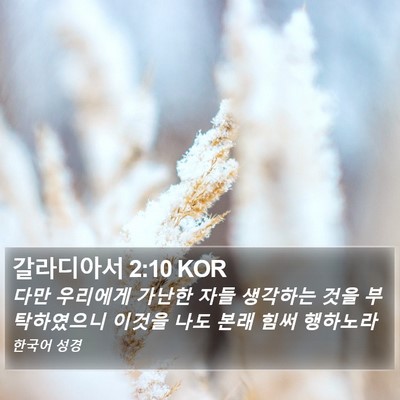 갈라디아서 2:10 KOR Bible Verse Image