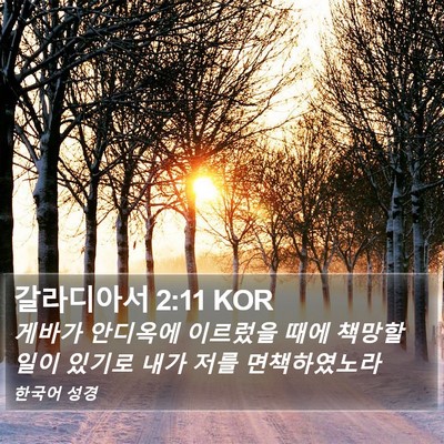 갈라디아서 2:11 KOR Bible Verse Image