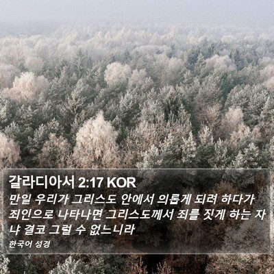 갈라디아서 2:17 KOR Bible Verse Image