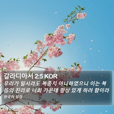 갈라디아서 2:5 KOR Bible Verse Image