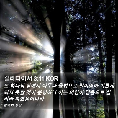 갈라디아서 3:11 KOR Bible Verse Image