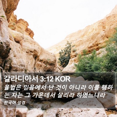 갈라디아서 3:12 KOR Bible Verse Image
