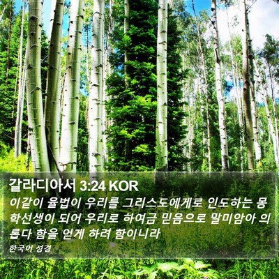 갈라디아서 3:24 KOR Bible Verse Image