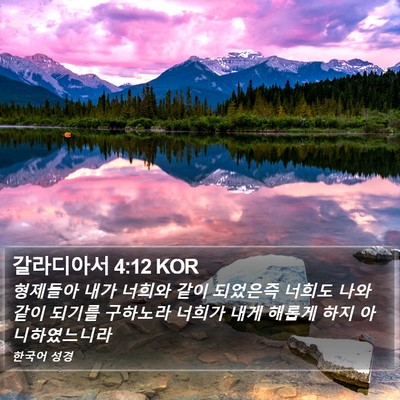 갈라디아서 4:12 KOR Bible Verse Image