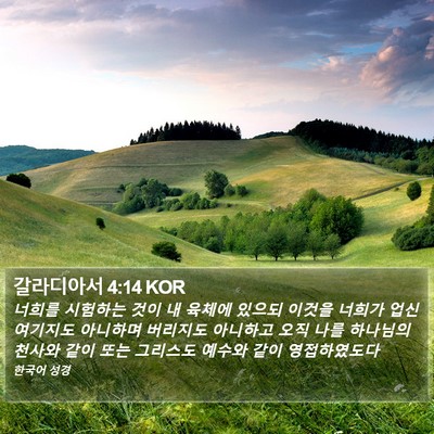 갈라디아서 4:14 KOR Bible Verse Image