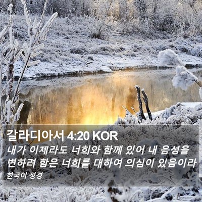갈라디아서 4:20 KOR Bible Verse Image
