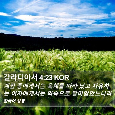 갈라디아서 4:23 KOR Bible Verse Image