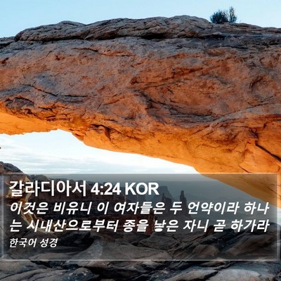 갈라디아서 4:24 KOR Bible Verse Image