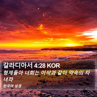 갈라디아서 4:28 KOR Bible Verse Image