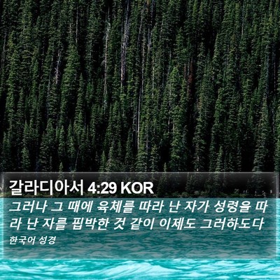 갈라디아서 4:29 KOR Bible Verse Image