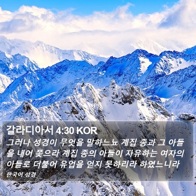 갈라디아서 4:30 KOR Bible Verse Image