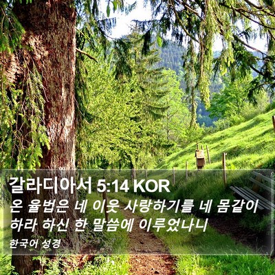 갈라디아서 5:14 KOR Bible Verse Image