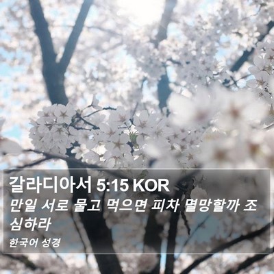 갈라디아서 5:15 KOR Bible Verse Image