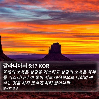 갈라디아서 5:17 KOR Bible Verse Image