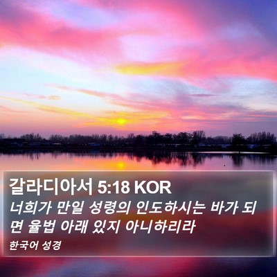 갈라디아서 5:18 KOR Bible Verse Image