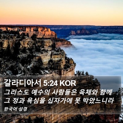 갈라디아서 5:24 KOR Bible Verse Image