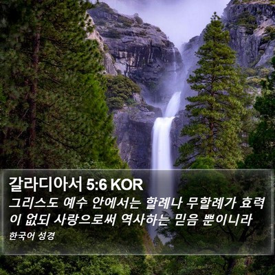 갈라디아서 5:6 KOR Bible Verse Image