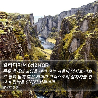 갈라디아서 6:12 KOR Bible Verse Image