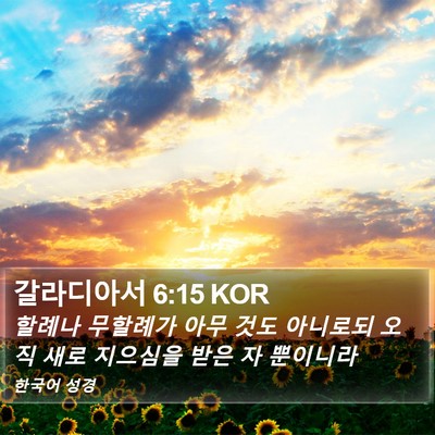 갈라디아서 6:15 KOR Bible Verse Image