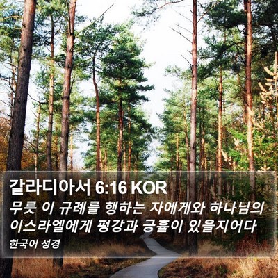 갈라디아서 6:16 KOR Bible Verse Image