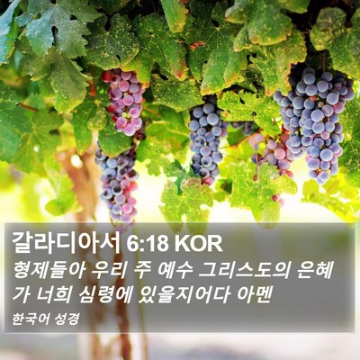 갈라디아서 6:18 KOR Bible Verse Image