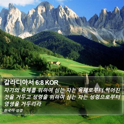 갈라디아서 6:8 KOR Bible Verse Image
