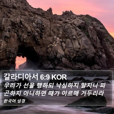 갈라디아서 6:9 KOR Bible Verse Image