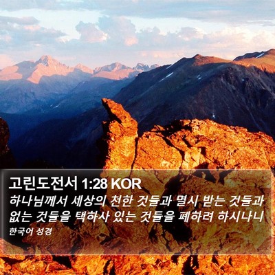 고린도전서 1:28 KOR Bible Verse Image