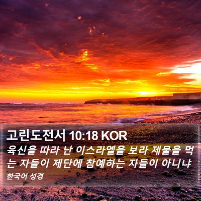 고린도전서 10:18 KOR Bible Verse Image