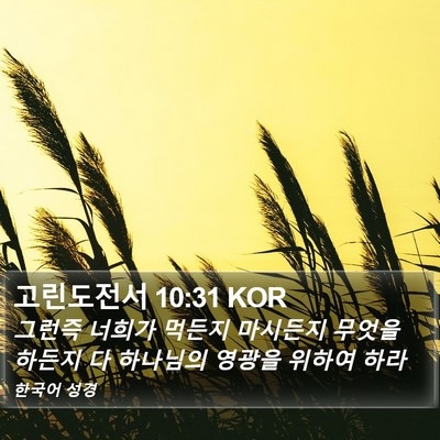 고린도전서 10:31 KOR Bible Verse Image