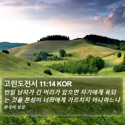 고린도전서 11:14 KOR Bible Verse Image