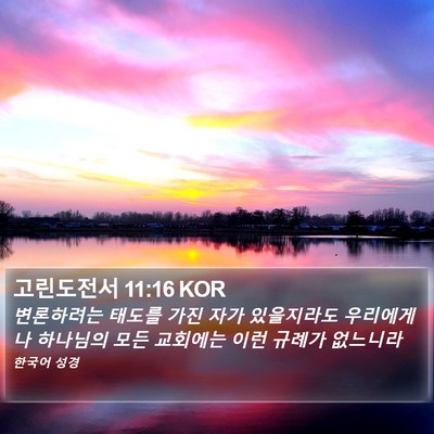 고린도전서 11:16 KOR Bible Verse Image