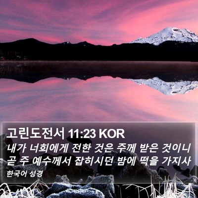 고린도전서 11:23 KOR Bible Verse Image