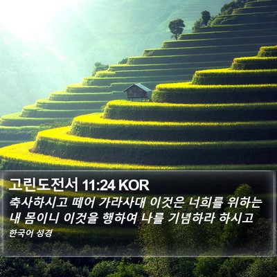 고린도전서 11:24 KOR Bible Verse Image