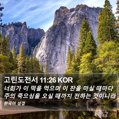 고린도전서 11:26 KOR Bible Verse Image