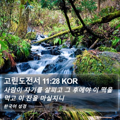 고린도전서 11:28 KOR Bible Verse Image