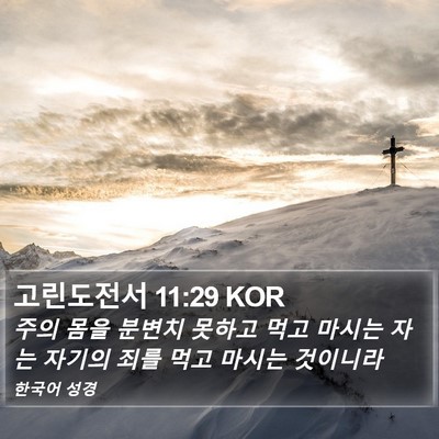고린도전서 11:29 KOR Bible Verse Image