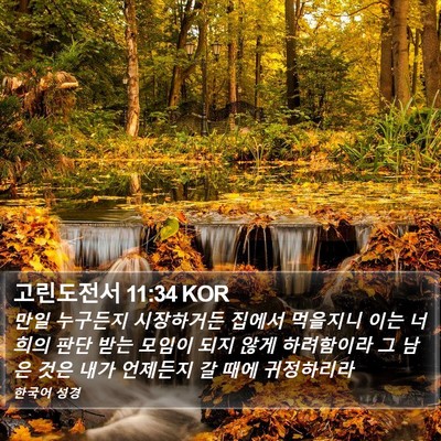 고린도전서 11:34 KOR Bible Verse Image