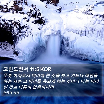 고린도전서 11:5 KOR Bible Verse Image