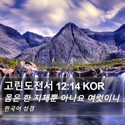 고린도전서 12:14 KOR Bible Verse Image