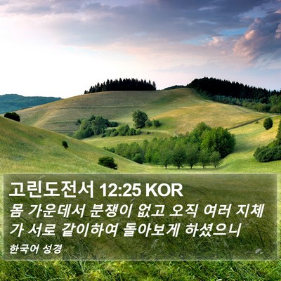 고린도전서 12:25 KOR Bible Verse Image