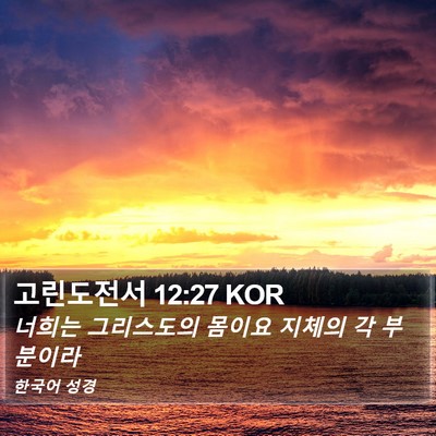 고린도전서 12:27 KOR Bible Verse Image