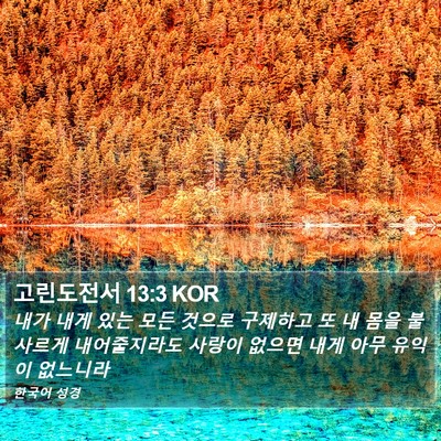 고린도전서 13:3 KOR Bible Verse Image