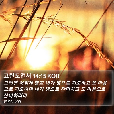고린도전서 14:15 KOR Bible Verse Image