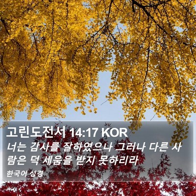 고린도전서 14:17 KOR Bible Verse Image