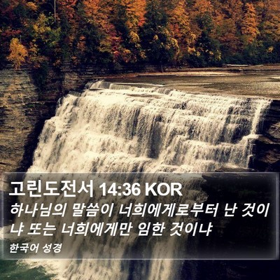 고린도전서 14:36 KOR Bible Verse Image