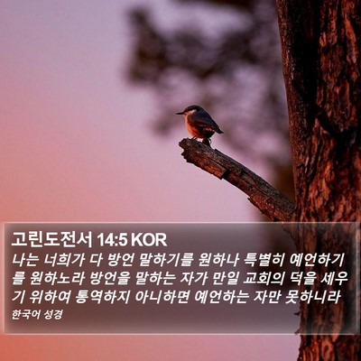 고린도전서 14:5 KOR Bible Verse Image