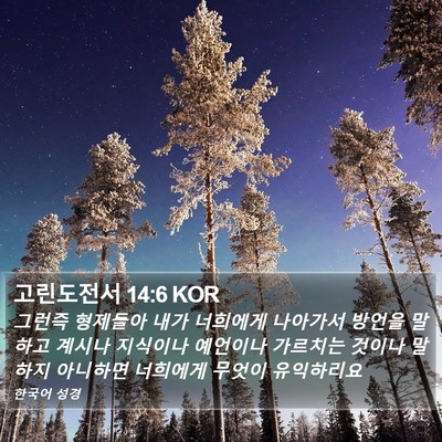고린도전서 14:6 KOR Bible Verse Image