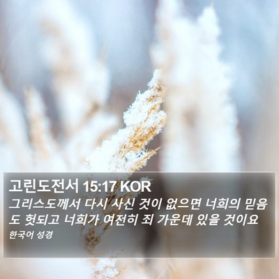 고린도전서 15:17 KOR Bible Verse Image